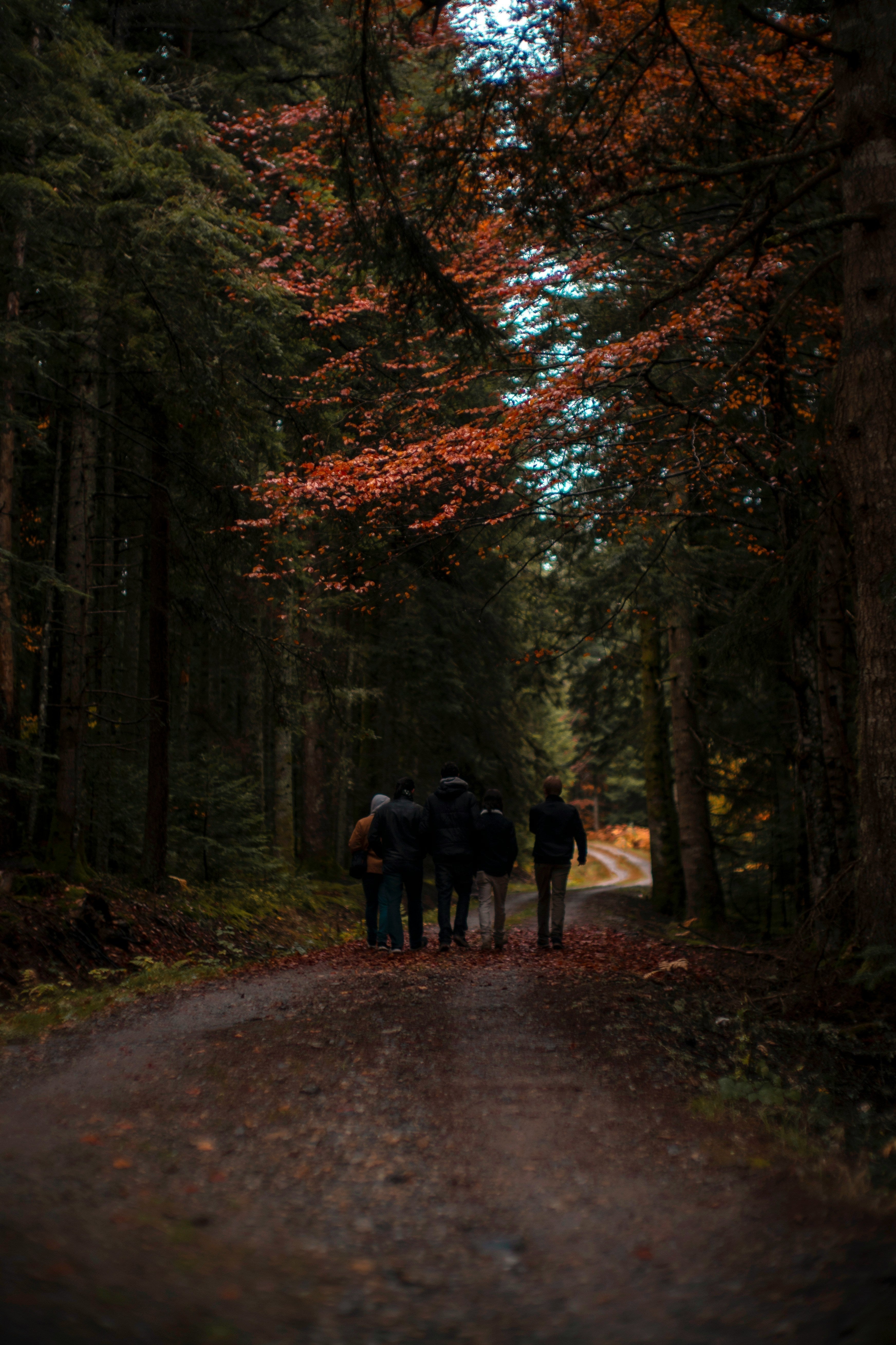 Stay Active When It’s Chilly: Simple Ways to Keep Moving This Autumn.