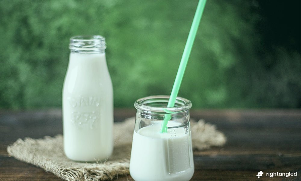 What to Know About Lactose Intolerance